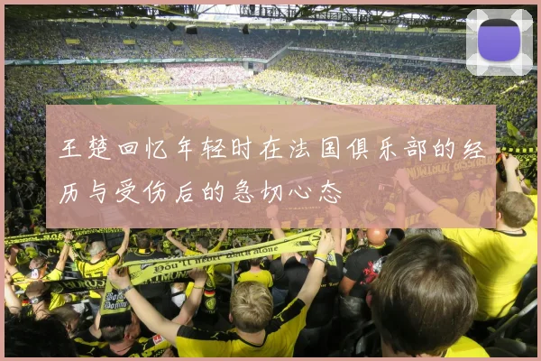 王楚回忆年轻时在法国俱乐部的经历与受伤后的急切心态