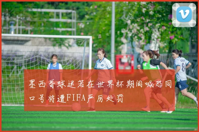 墨西哥球迷若在世界杯期间喊恐同口号将遭FIFA严厉处罚